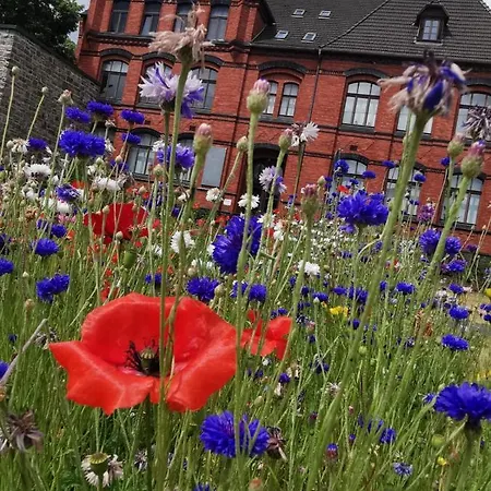 Apartman Back To School