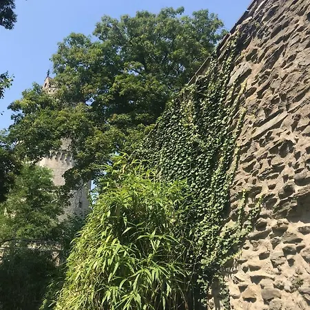 Back To School Apartman *