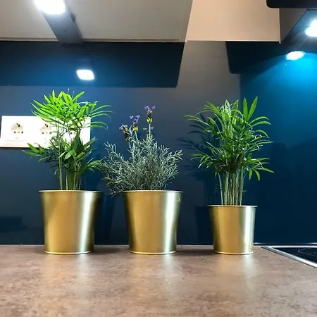 Back To School Apartment