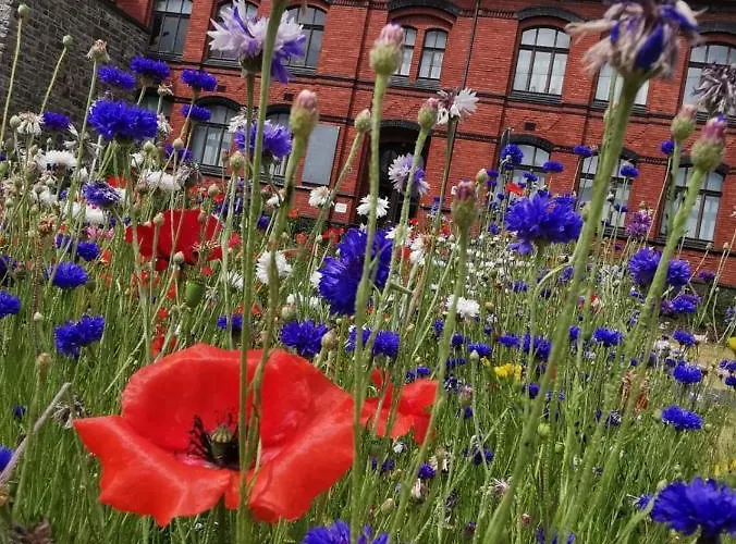 公寓 Back To School