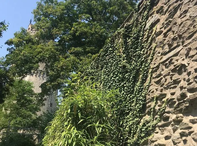 Back To School 公寓 *