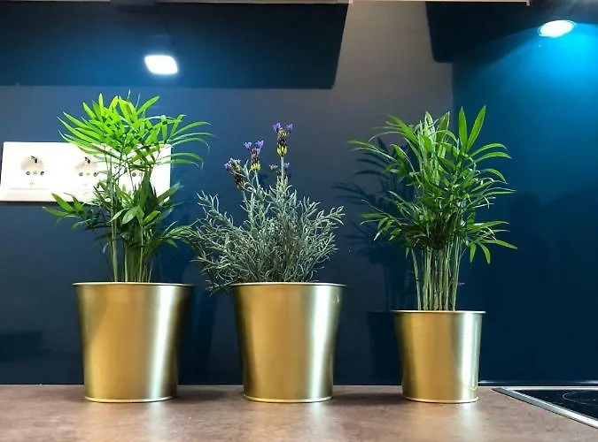 Back To School 公寓